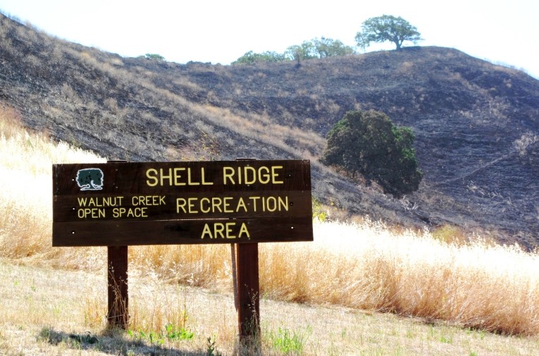 shell-ridge-1